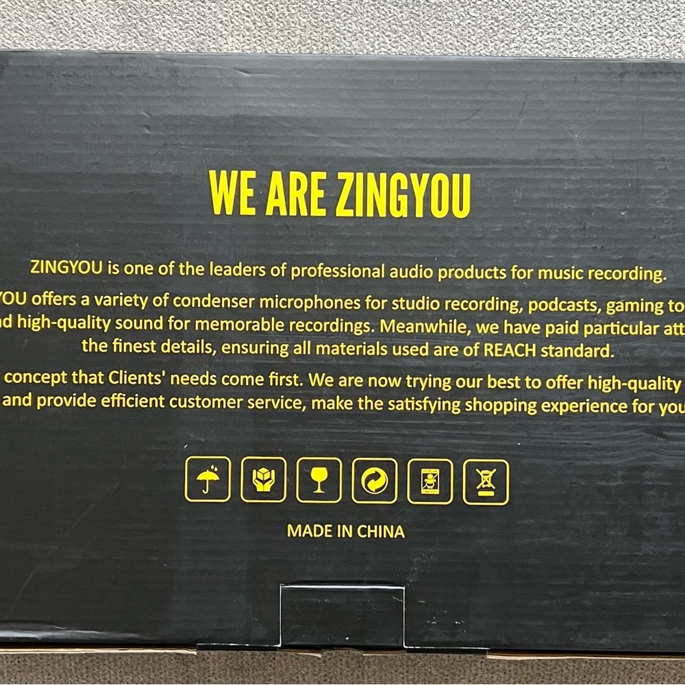 Condenser Microphone - Picture 3 of 5